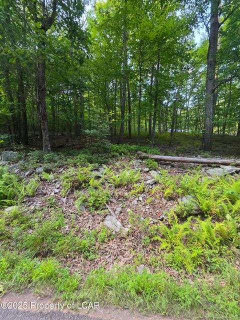 Vacant Land For Sale - Tower Road<br/> Sugarloaf, PA 18249