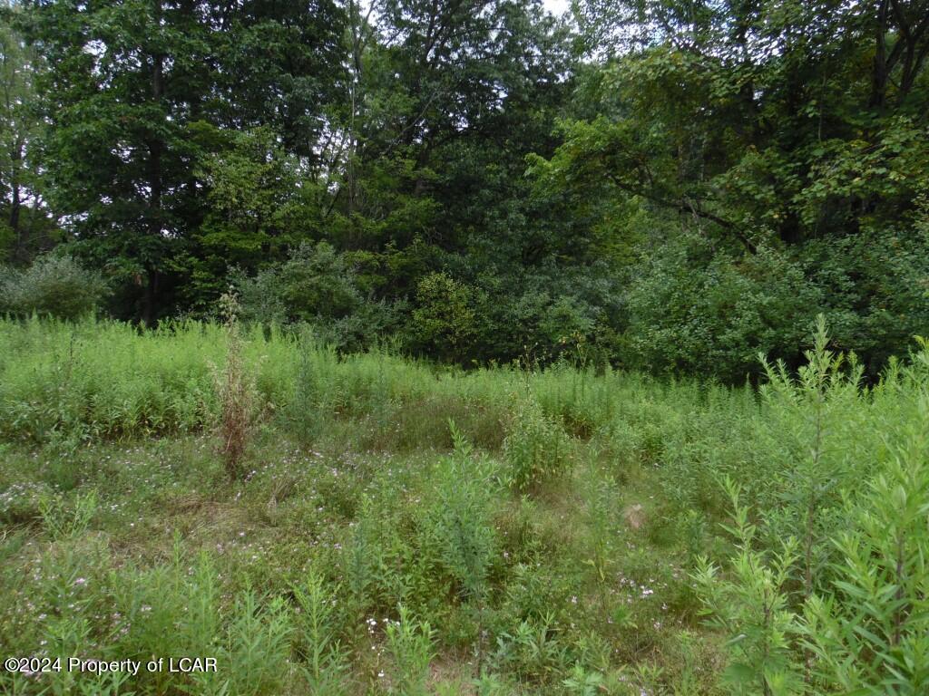 Lot 15 Morio Drive, Mountain Top, Pennsylvania image 6