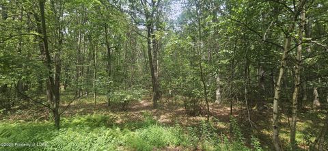Vacant Land For Sale - Hemlock Drive<br/> Sheppton, PA 18248
