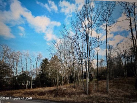 Vacant Land For Sale - Outlet Rd Lane<br/> Luzerne County, Harveys Lake, PA 18618