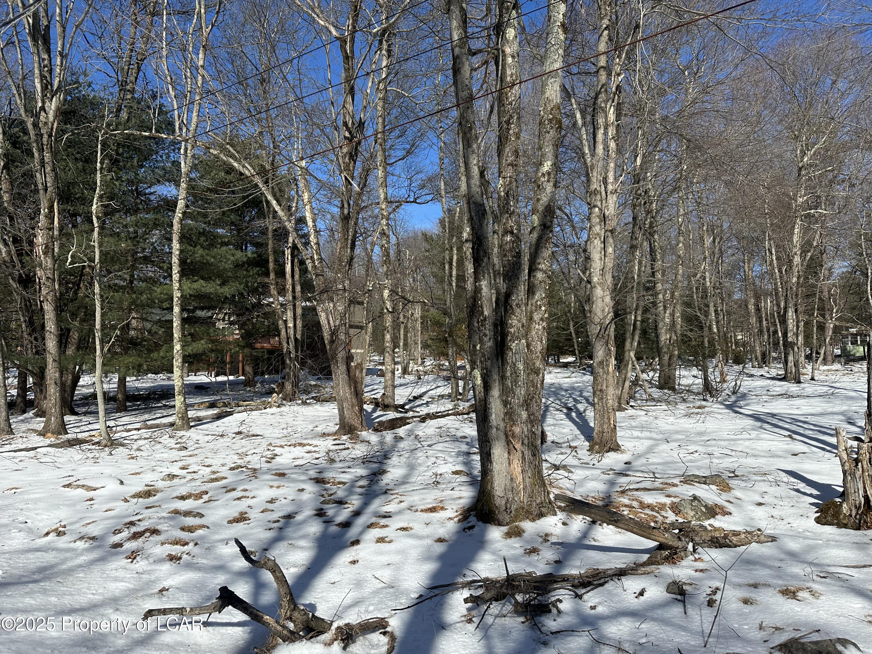 Pineknoll Drive, Lake Harmony, Pennsylvania image 3