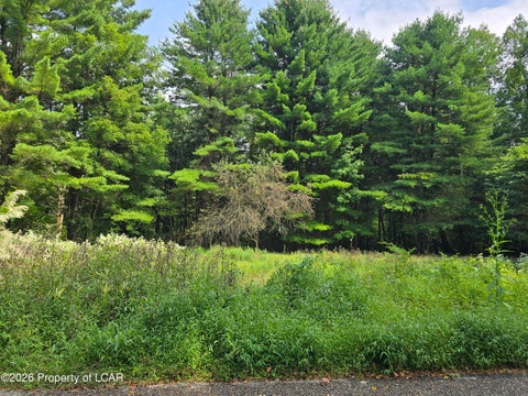 Vacant Land For Sale - Callender Road<br/> Hunlock Creek, PA 18621