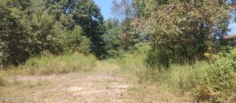 Vacant Land For Sale - Enterprise Street<br/> Luzerne County, Nanticoke, PA 18634