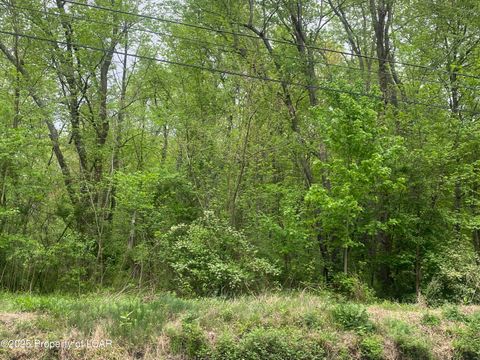 Vacant Land For Sale - Middle Road<br/> Nanticoke, PA 18634