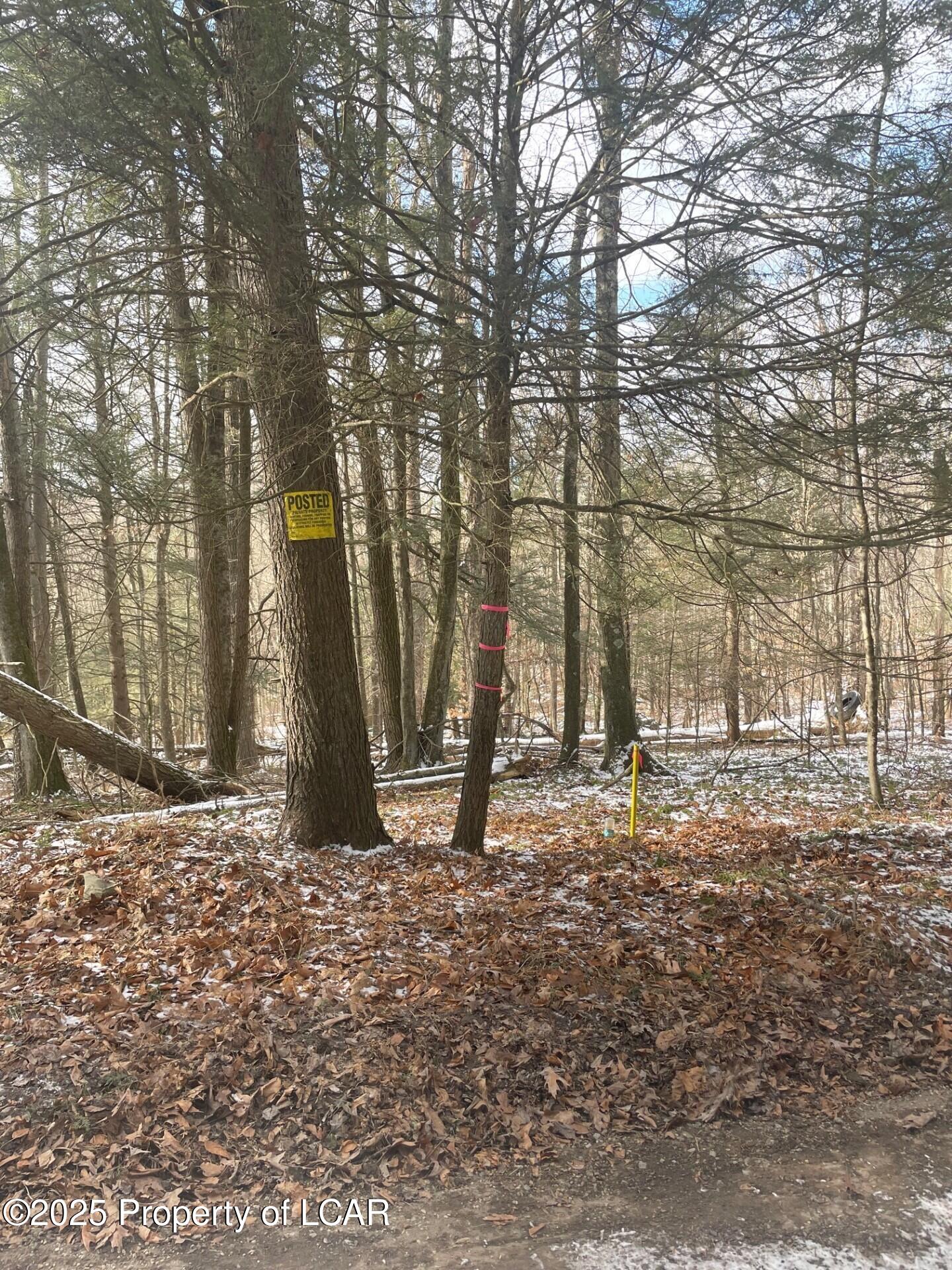Booth Road, Sweet Valley, Pennsylvania image 8
