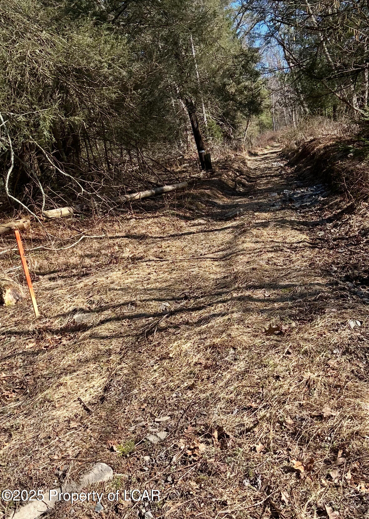 Chase Road, Shavertown, Pennsylvania image 3