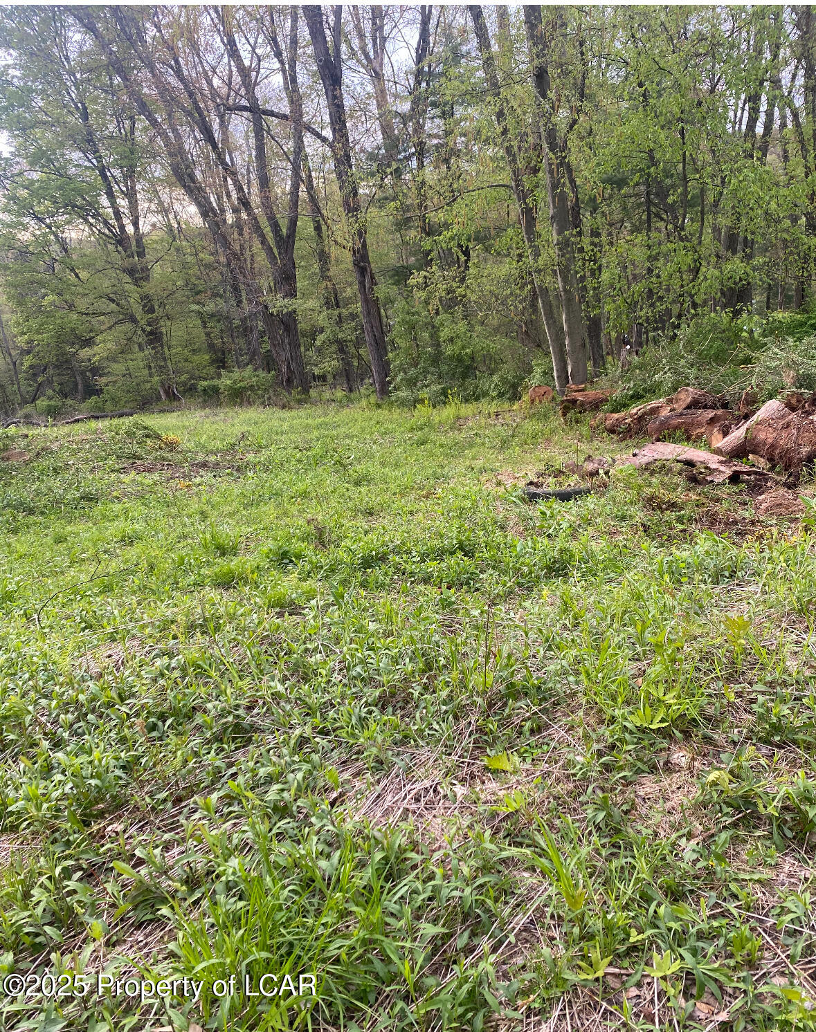 Chase Road, Shavertown, Pennsylvania image 8