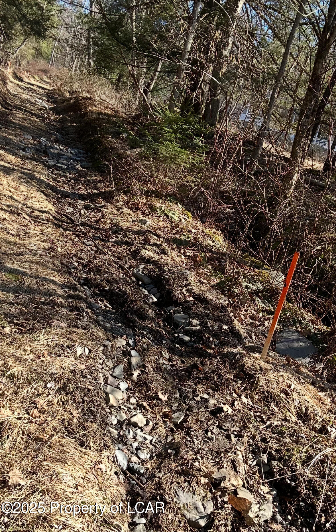 Chase Road, Shavertown, Pennsylvania image 4