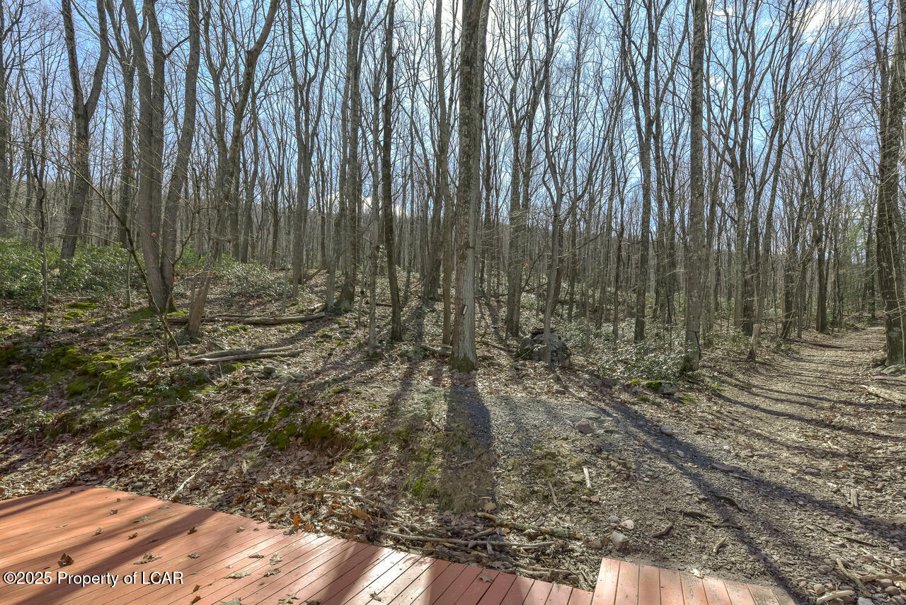 111 Buck Ridge Drive, Drums, Pennsylvania image 43