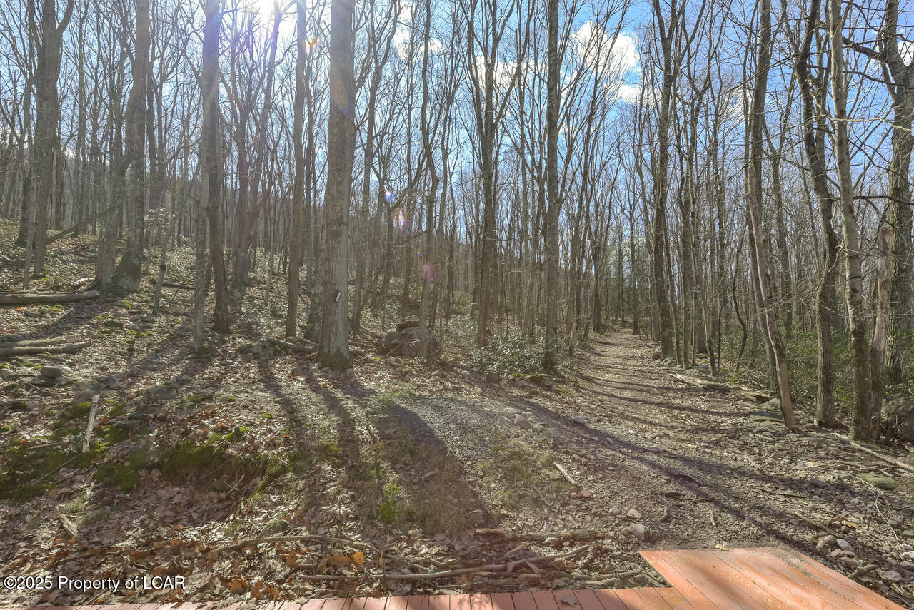 111 Buck Ridge Drive, Drums, Pennsylvania image 44