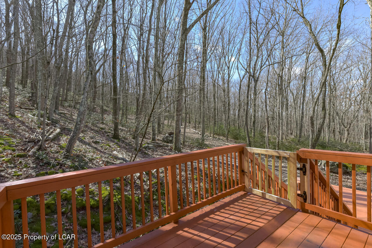 111 Buck Ridge Drive, Drums, Pennsylvania image 38