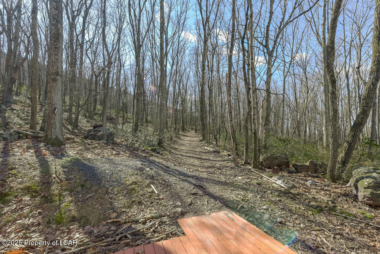 111 Buck Ridge Drive, Drums, Pennsylvania image 42