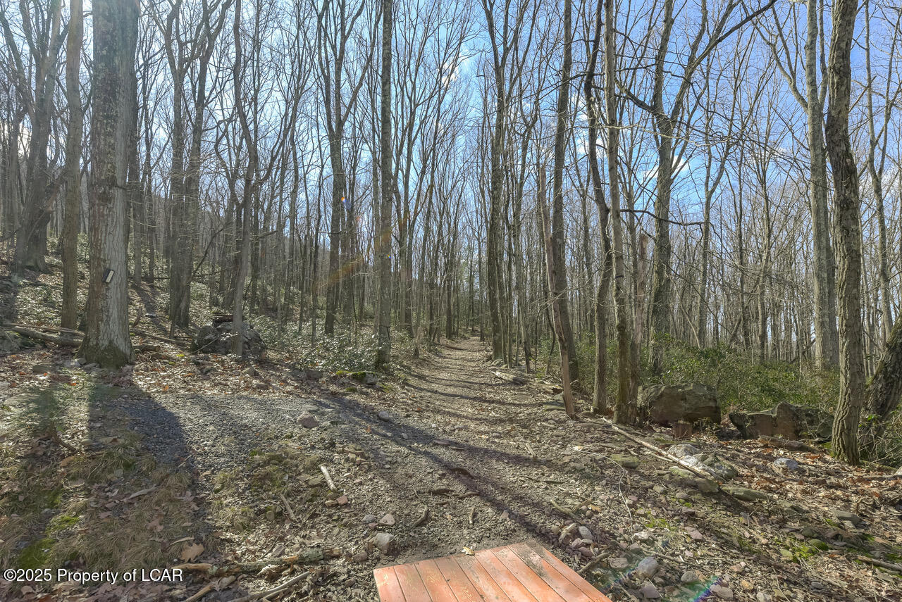 111 Buck Ridge Drive, Drums, Pennsylvania image 41