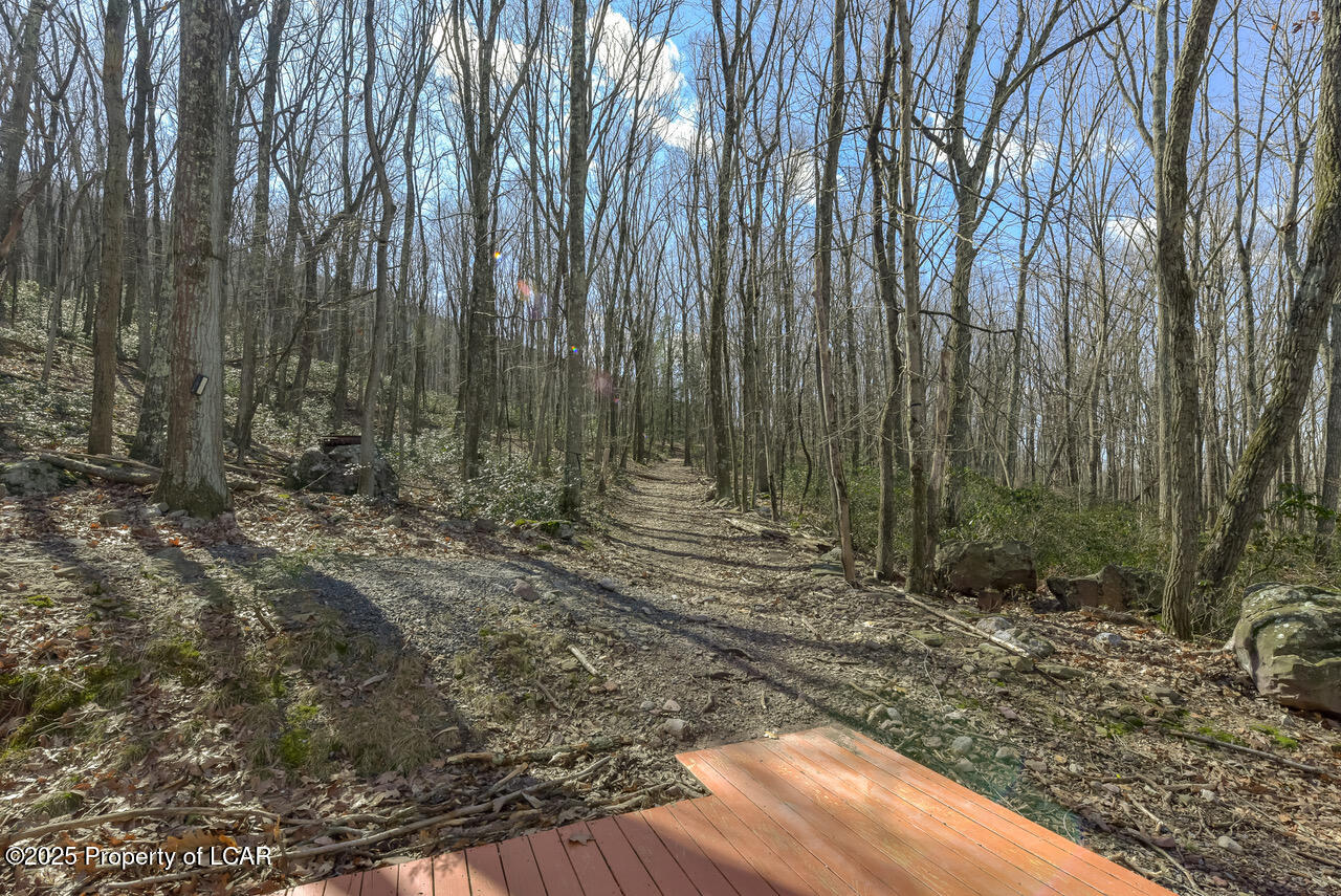 111 Buck Ridge Drive, Drums, Pennsylvania image 45