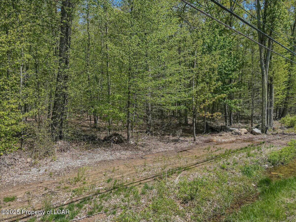 12148 N Pa Route 940 - 13.77 Acres Ave, White Haven, Idaho image 13