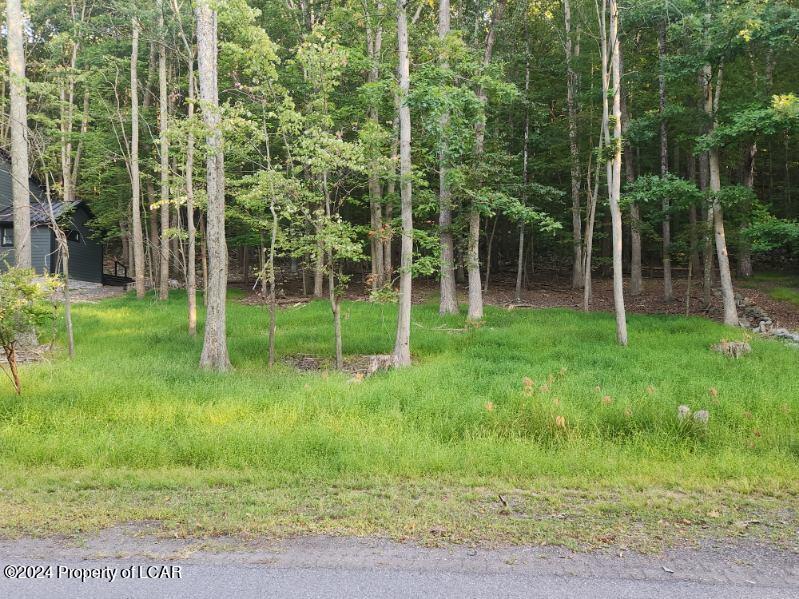 Tuscarora Drive, Hazleton, Pennsylvania image 1