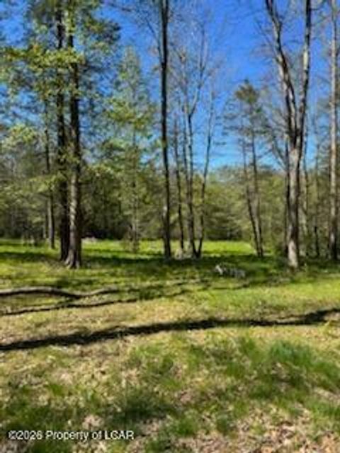 Vacant Land For Sale - Oak Drive<br/> Drums, PA 18222