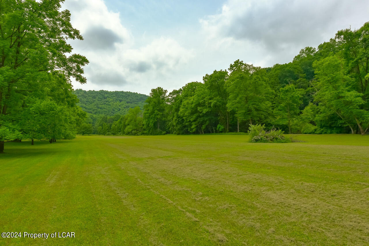 193 Cranberry Run Road, Zion Grove, Pennsylvania image 33