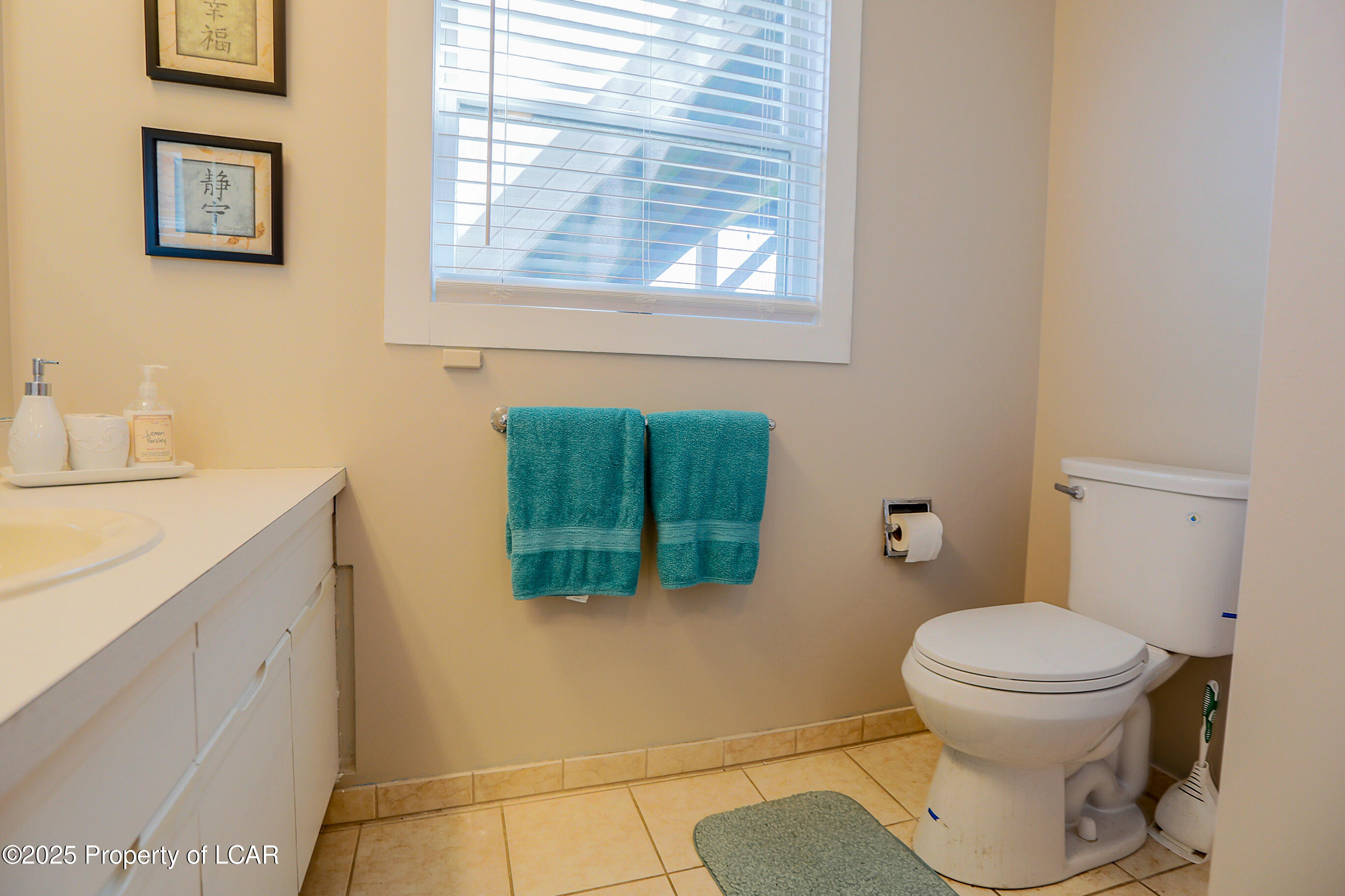 190 W Reliance Drive, Wilkes-Barre, Texas image 41
