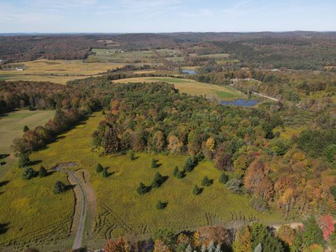 Photo of 135 Cook Road, Cooperstown, NY 13326 (MLS # 11576765)