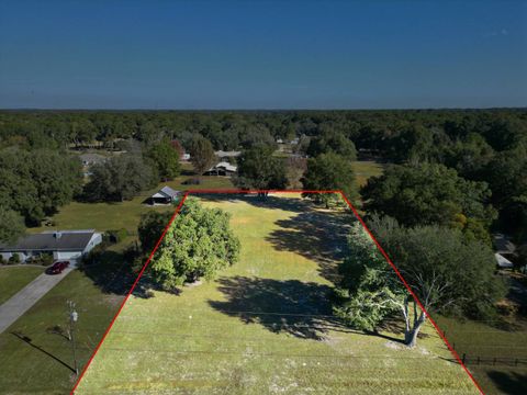 Photo of 2975 SE 159th Lane Rd, Summerfield, FL 34491 (MLS # 11608971)