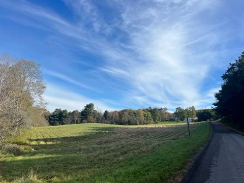 Photo of 103 John Hill Road, Burlington Flats, NY 13315 (MLS # 11182228)