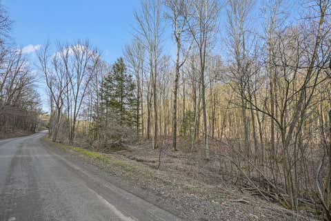 Photo of 3206 Eggleston Hill Rd, Cooperstown, NY 13326 (MLS # 11268943)