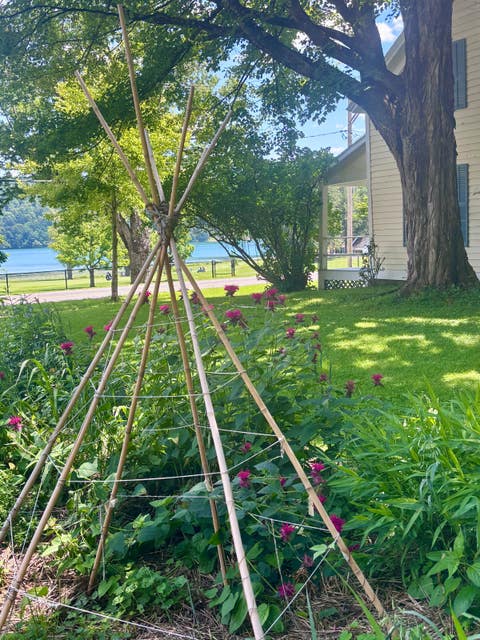 Photo of 113 Lake Street, Cooperstown, NY 13326 (MLS # 11870201)