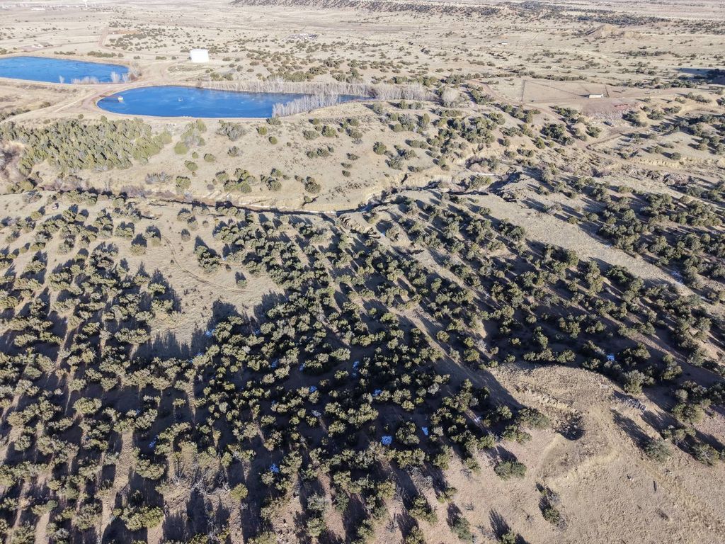 Photo of 00 Bandito, Florence, CO 81226 (MLS # 11641733)