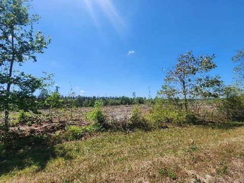 Photo of 0 Tower Rd, Uriah, AL 36480 (MLS # 11692517)