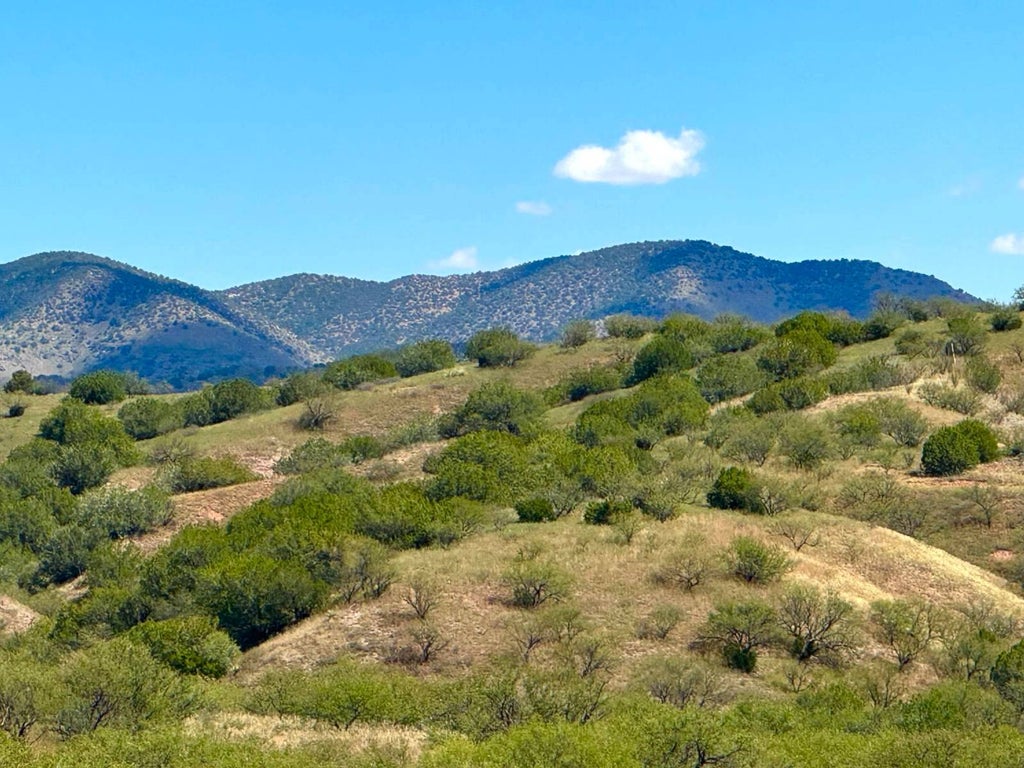 Photo of 00 Temporal Canyon Rd, Patagonia, AZ 85624 (MLS # 11924859)