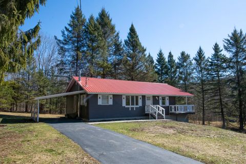 Photo of 212 Parks Hill Rd, Schenevus, NY 12155 (MLS # 11454374)