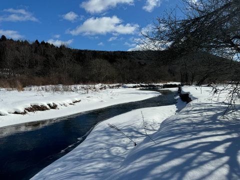 Photo of 0 County Highway 11, Cooperstown, NY 13326 (MLS # 11439640)