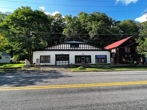 Photo of 2527 Marion Ave, Gilbertsville, NY 13776 (MLS # 11107676)