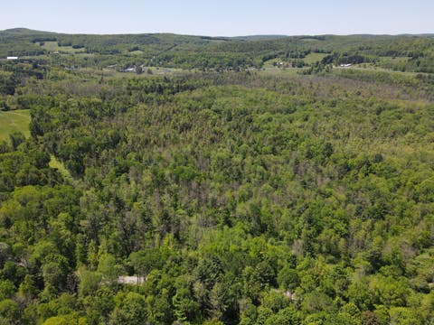Photo of 0 Keating Road, Fly Creek, NY 13337 (MLS # 11679819)