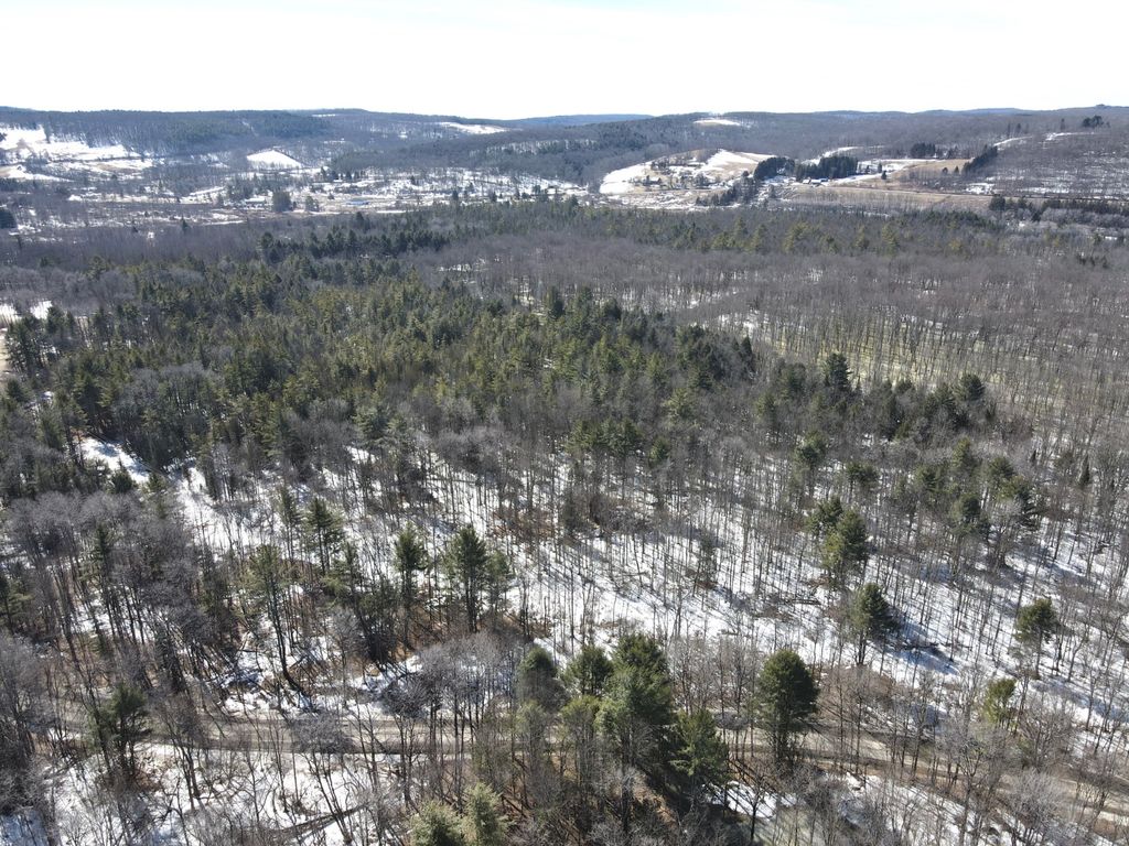 Photo of 0 Keating Road, Fly Creek, NY 13337 (MLS # 11679819)