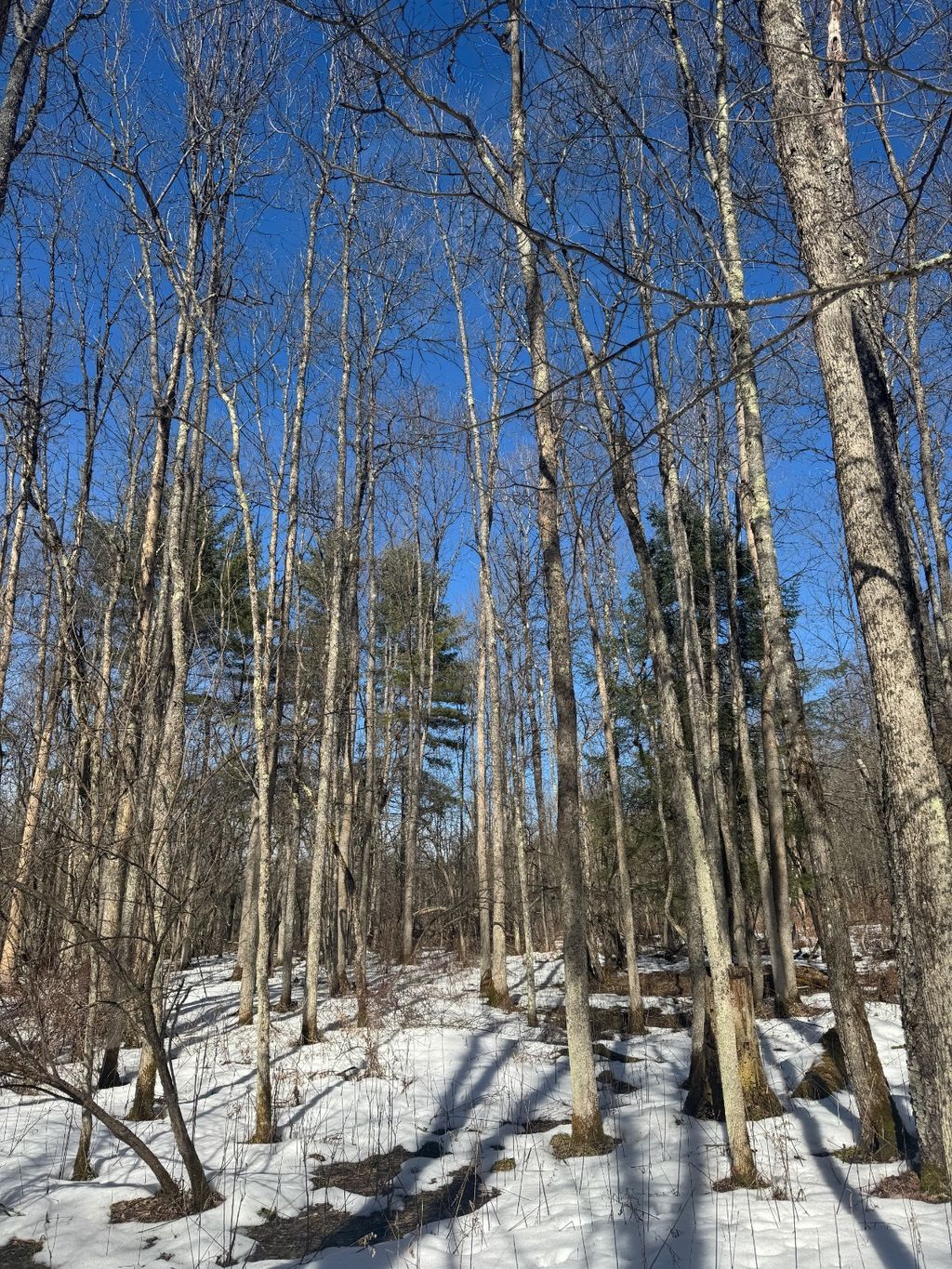 Photo of 0 Keating Road, Fly Creek, NY 13337 (MLS # 11679819)