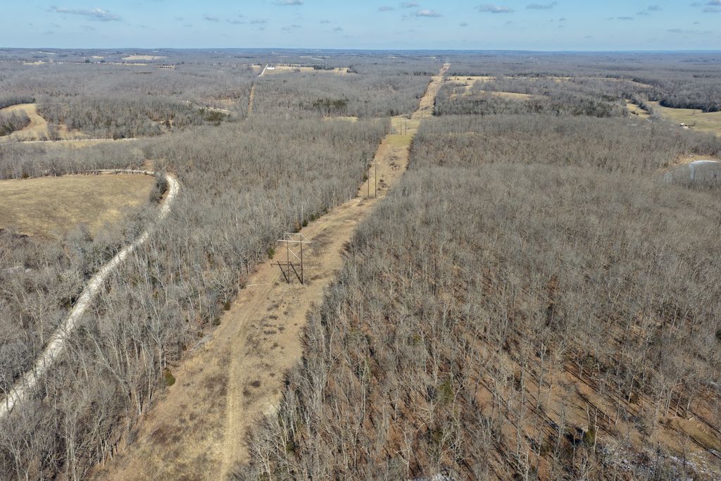 Photo of Tbd County Rd 9030, Dixon, MO 65459 (MLS # 11650978)