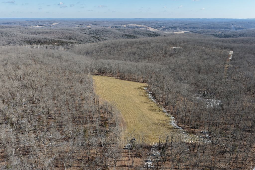 Photo of Tbd County Rd 9030, Dixon, MO 65459 (MLS # 11650978)