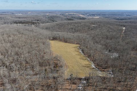 Photo of Tbd County Rd 9030, Dixon, MO 65459 (MLS # 11650978)