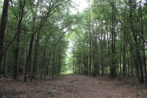 Photo of 0 S State Route 49 Rd, Oglethorpe, GA 31068 (MLS # 11739991)
