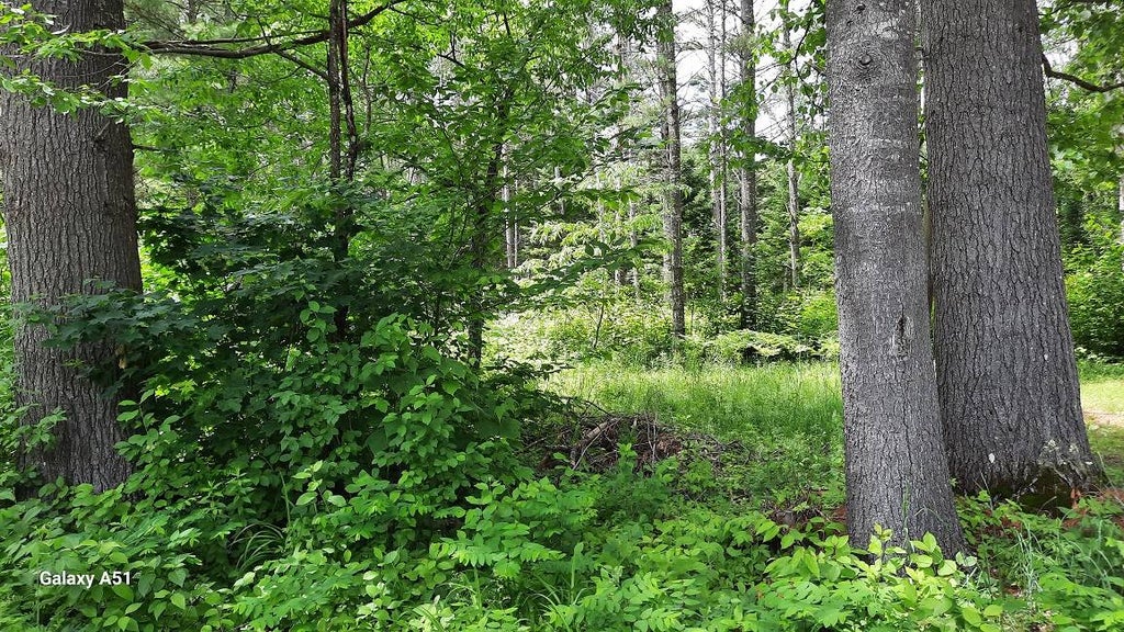 Photo of 141 Elm Lake Rd, Speculator, NY 12164 (MLS # 11852349)