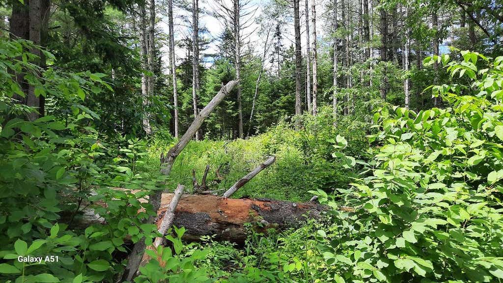 Photo of 141 Elm Lake Rd, Speculator, NY 12164 (MLS # 11852349)