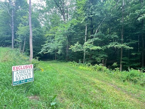 Photo of 113 Hansen Rd, Oneonta, NY 13820 (MLS # 11328580)