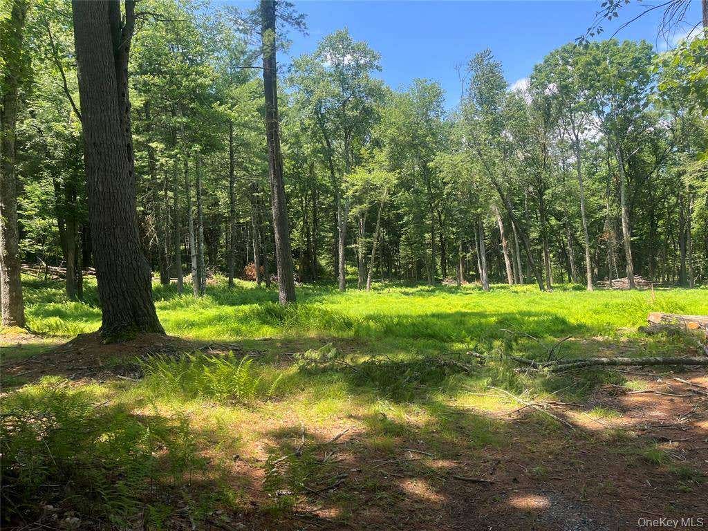Photo of 0 Geba Dr, Glen Spey, NY 12737 (MLS # 11935490)
