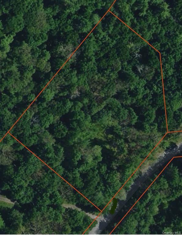 Photo of 0 Geba Dr, Glen Spey, NY 12737 (MLS # 11935490)