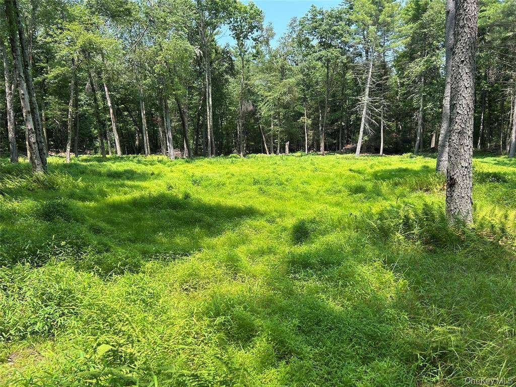 Photo of 0 Geba Dr, Glen Spey, NY 12737 (MLS # 11935490)