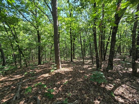 Photo of 85 TBD Round Mountain Road, Howe, OK 74940 (MLS # 11799431)
