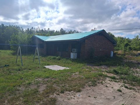 Photo of 542 Alligator Rd, Baxley, GA 31513 (MLS # 11732332)