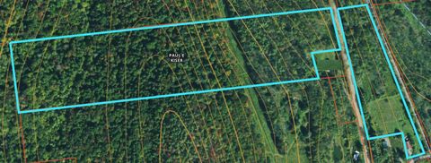 Photo of 121 Clintonville Road, Milford, NY 13807 (MLS # 11155291)